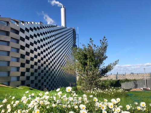 Toiture vert inclinée