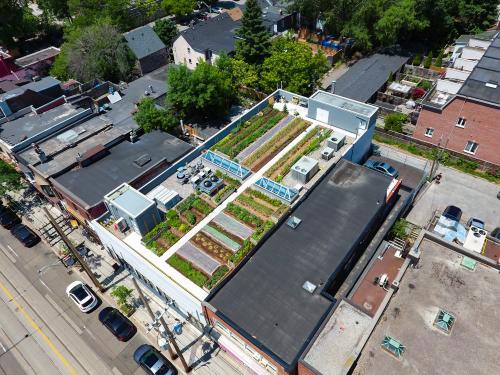 Potager sur Rooftop Urbain