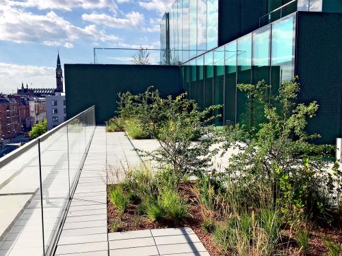 Terrasse jardin