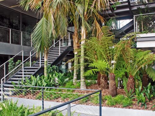 Plantes et palmiers d'intérieur
