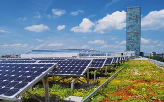 Végétalisation de toiture et énergie solaire