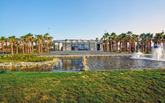 Park with palm trees and a water basin