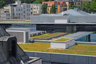 Extensive green roof in the city