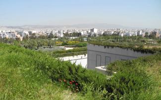 Lusciously vegetated green roofs