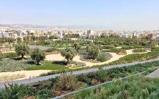 Green roof with pathways leading through mediterranean vegetation