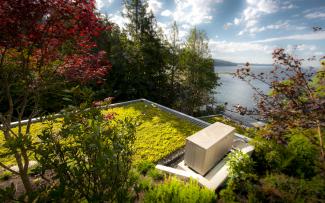 Extensive green roof