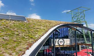 Pitched green roof in full bloom