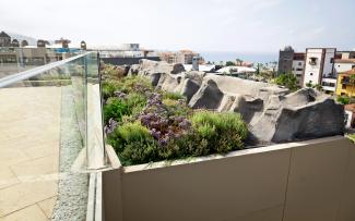 Pitched green roof