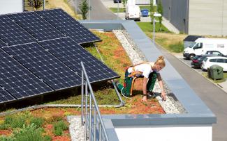 Roof gardener on a green roof with photovoltaics