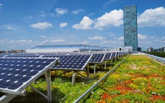 Green roof in combination with photovoltaics