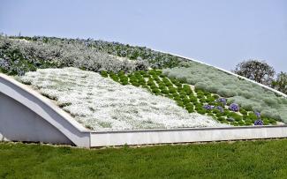 Pitched green roof in full bloom