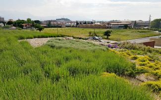 Green roof and view over the surrounding landscape
