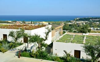 Extensive green roofs surrounded by olive trees