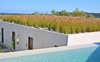 Green roof with ornamental grasses and pool in front