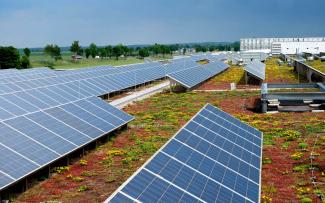 Sedum roof and solar panels