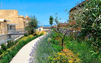 Roof garden with a pathway