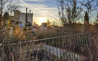 Toiture jardin avec garde-corps