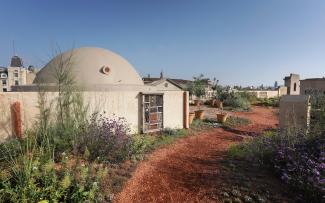 Roof garden with a pathway