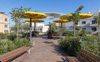 Toit vert avec parasols circulaires