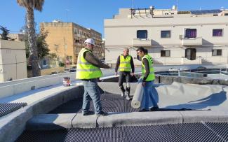 Toit avec les éléments Floradrain® FD 40-E elements et la toile filtrante SF