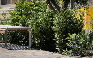 Bench on a roof garden surrounded by greenery