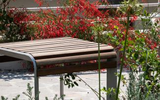 Wooden seat surrounded by flowers