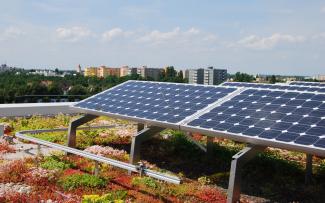 Végétalisation de toiture et énergie solaire