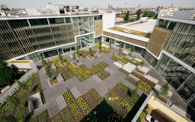 Vue sur la cour avec des zones de végétation et d'arbres.