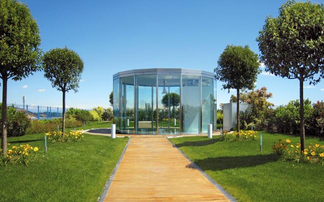 Jardin sur le toit avec pelouse et petits arbres