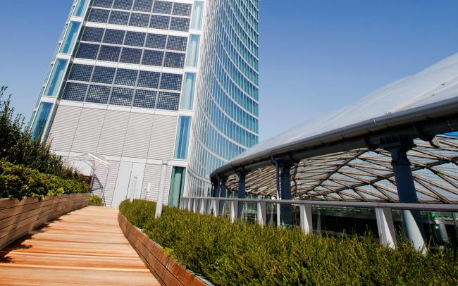 Toit vert avec revêtements piétonniers