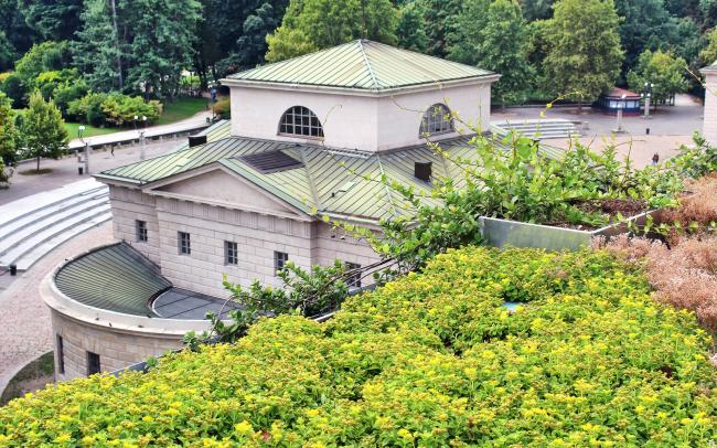Toit végétalisé avec Sedums 