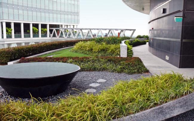 Terrasse jardin 
