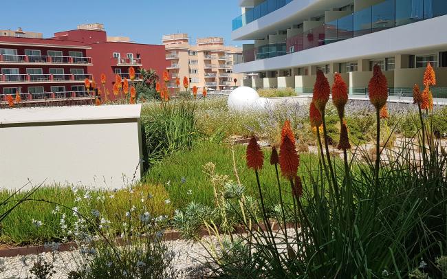 Terrasse jardin