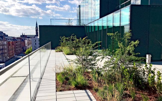 Terrasse jardin