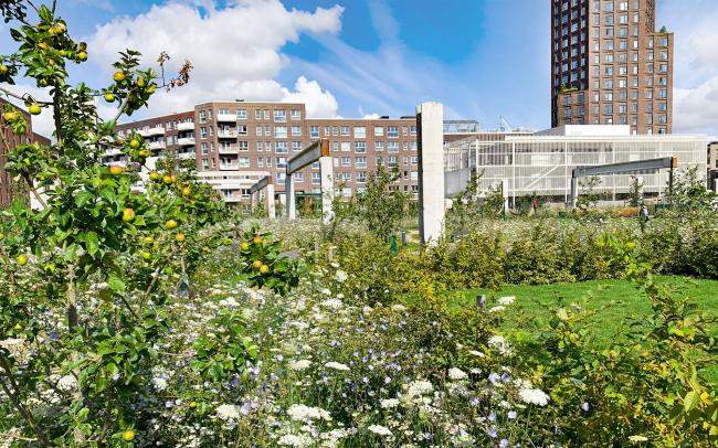 Jardin sur le toit d'un garage souterrain