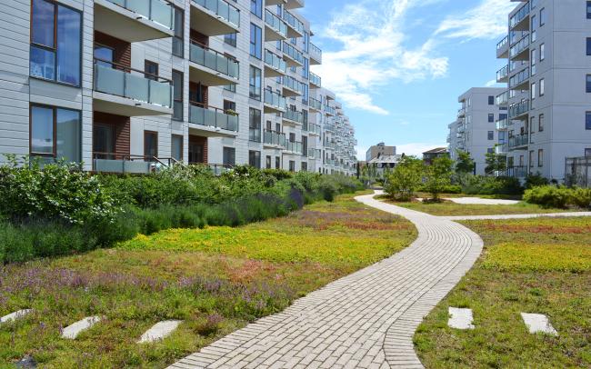 Espace vert d'un complexe résidentiel