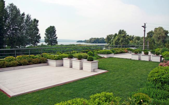 Toit vert avec pelouse, arbustes et terrasse en bois
