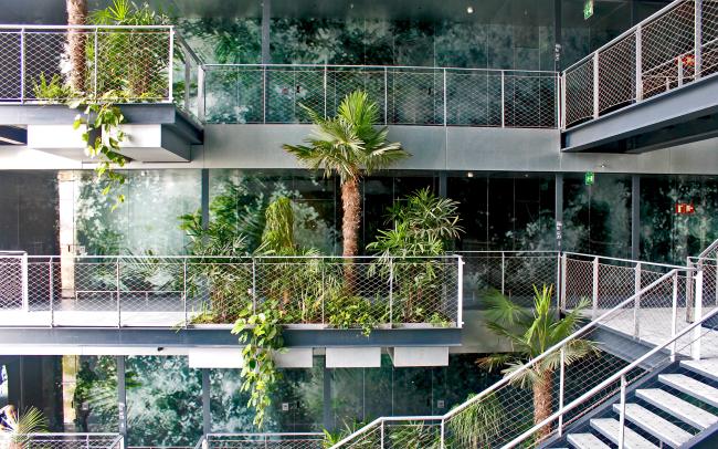 Jardin tropical à l'intérieur