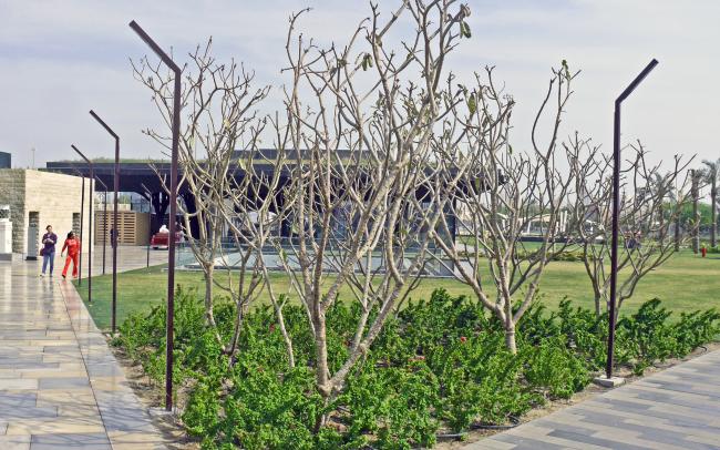 Grand parc urbain