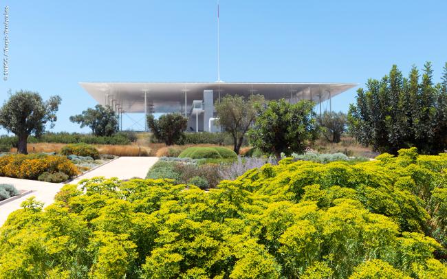 Toiture jardin avec végétation méditerranéenne
