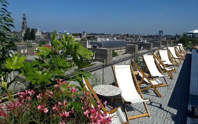 Toiture jardin