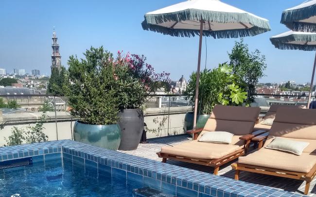 Toiture jardin avec piscine