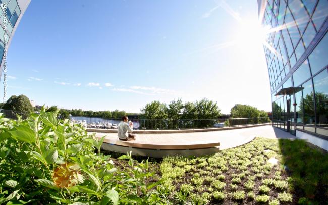 Toiture jardin