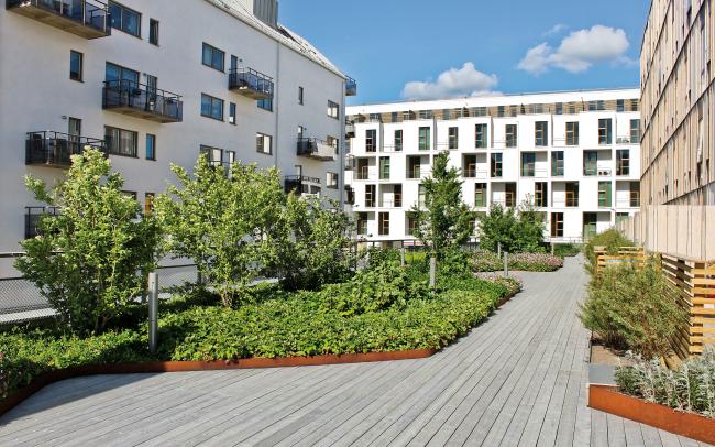 Toiture jardin
