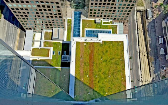 Une vue aérienne d'un toit vert avec Sedum